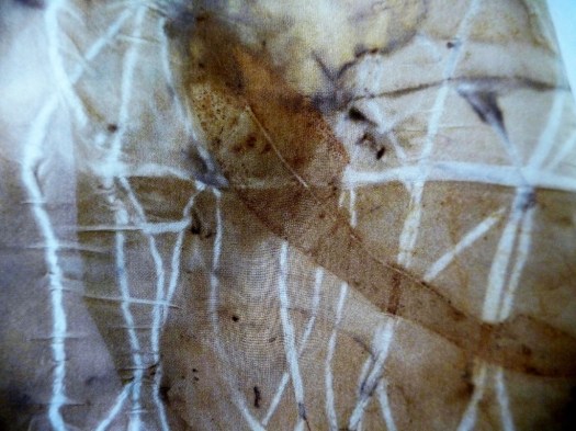 Ecoprint Christine Painter Ecographica