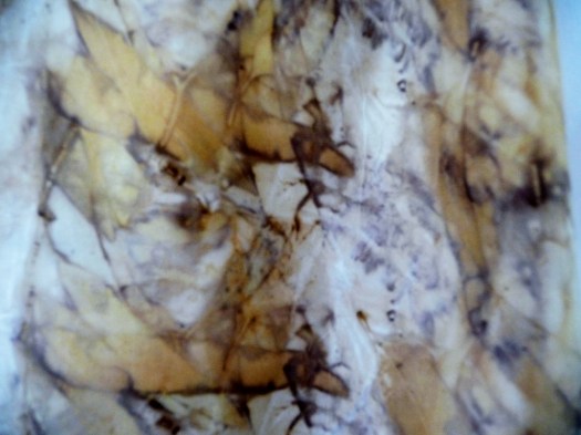 Ecoprint Christine Painter Ecographica